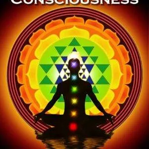 Emissaries of Consciousness